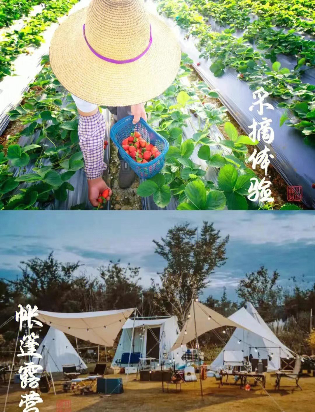 微信图片_20220927155950.jpg