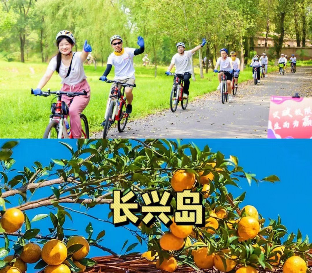 微信图片_20221108111234.jpg