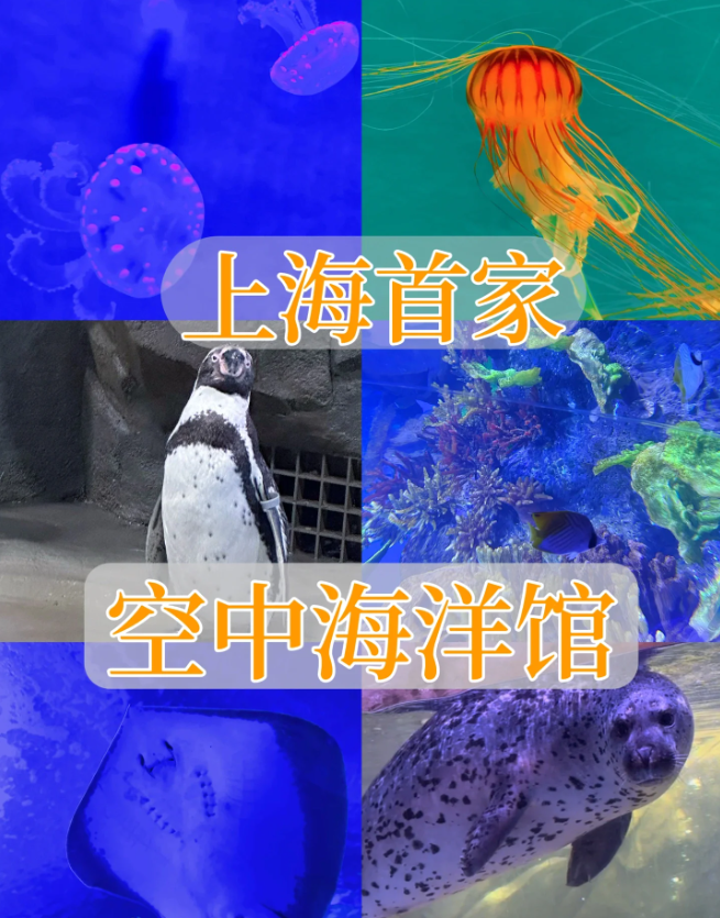 微信图片_20231120155130.png