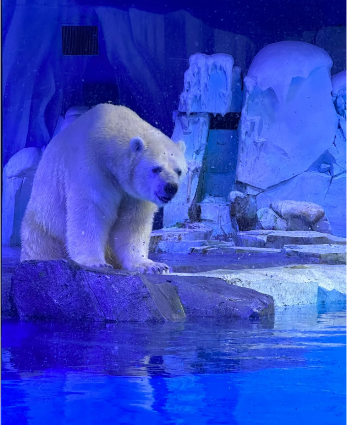 微信图片_20231127103625.png